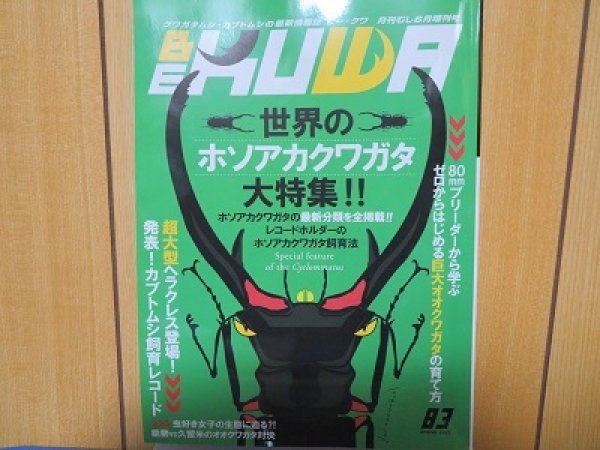 画像1: BE-KUWA83号入荷！！ (1)