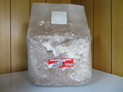 KB菌床AGブロック・オオヒラタケ １０個 - 幼虫飼育、菌糸瓶